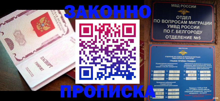 временная регистрация для школы в Дальнегорске